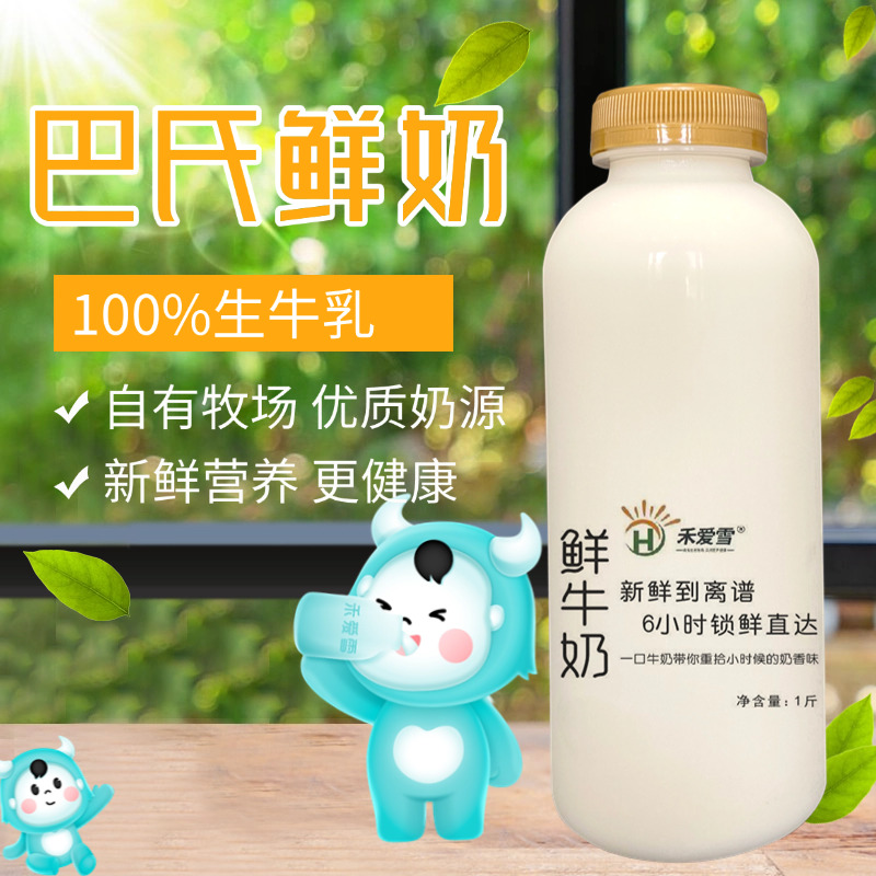 沭阳自有牧场与特仑苏共享奶源禾爱雪巴氏杀菌鲜牛奶1斤装3瓶原生高钙