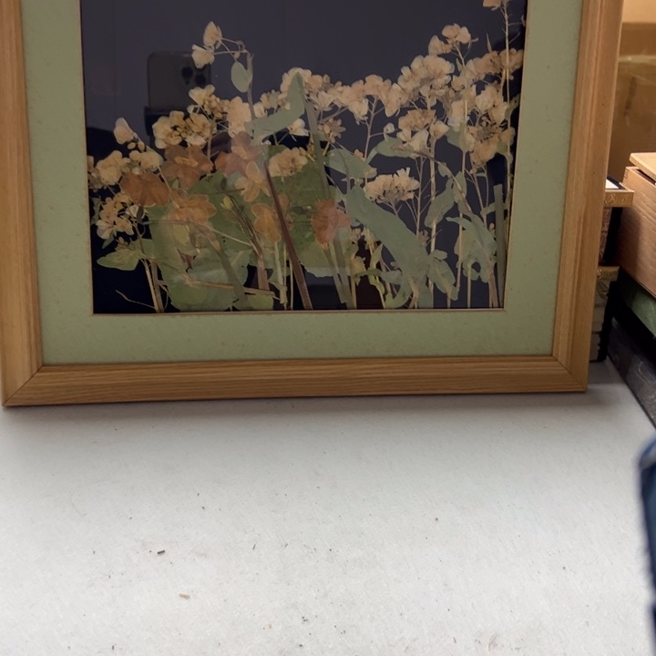 中古物品 有瑕慎拍 售出不退88