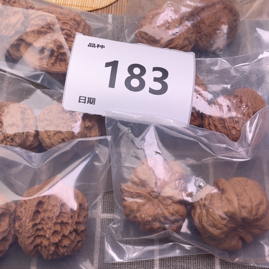文玩核桃把件183号6对带练手粗筋
