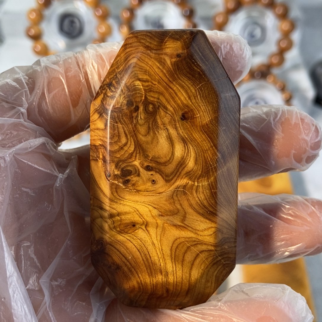 柏木（崖柏）一*太行崖柏