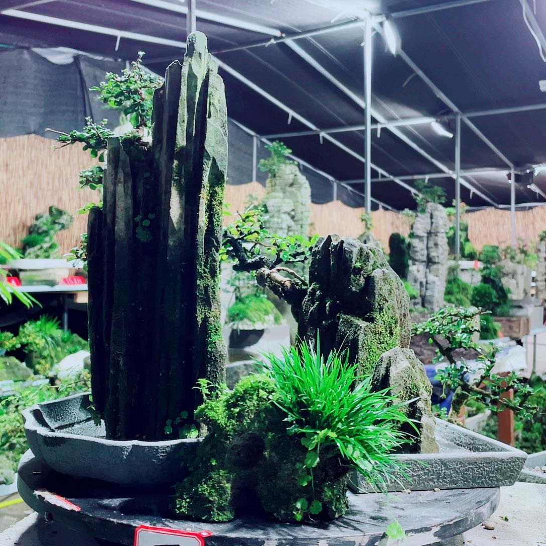 老***孩无花朵新品发布后发布公告发布