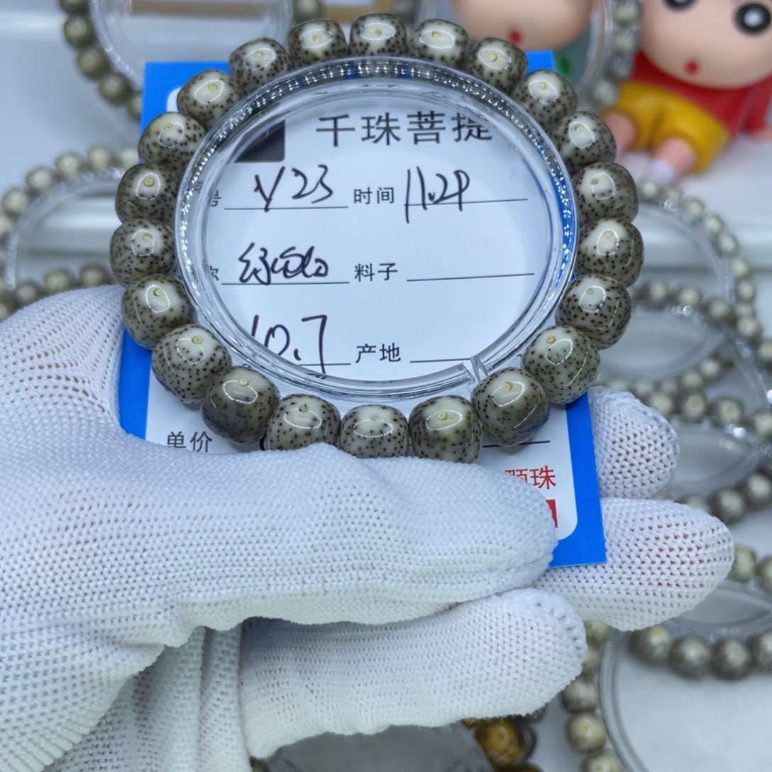 菩提籽类Y23绿包白