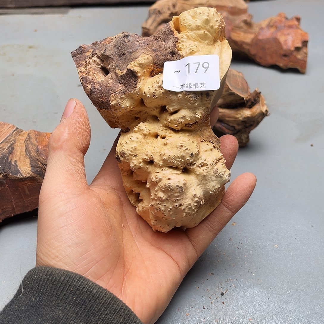 《***》无花朵           179