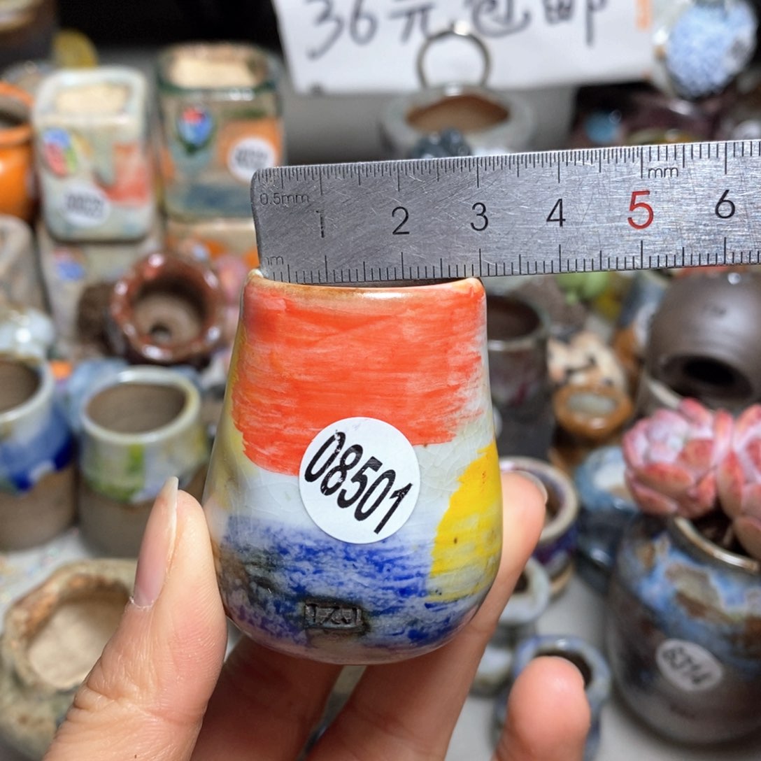 花盆拍5送一个小礼物