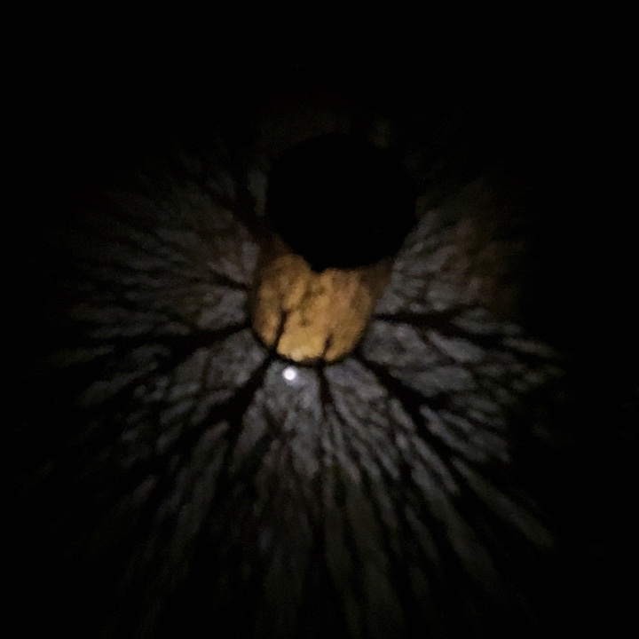 树脂ni o po po po po p po