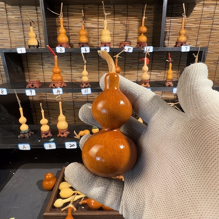 小****蚂蚁蚂蚁蚂蚁蚂蚁