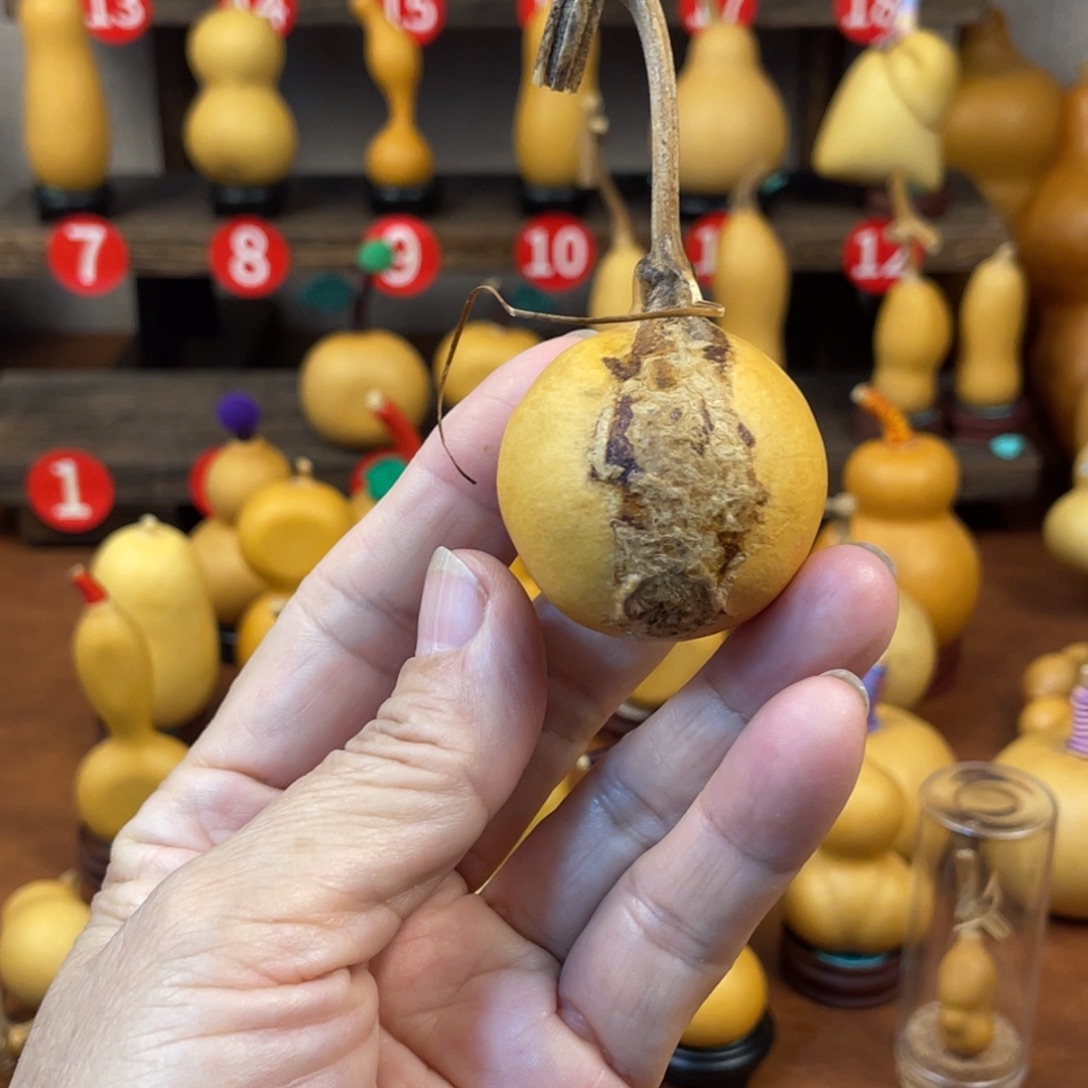 弓***长葫芦哈哈哈哈哈哈哈哈