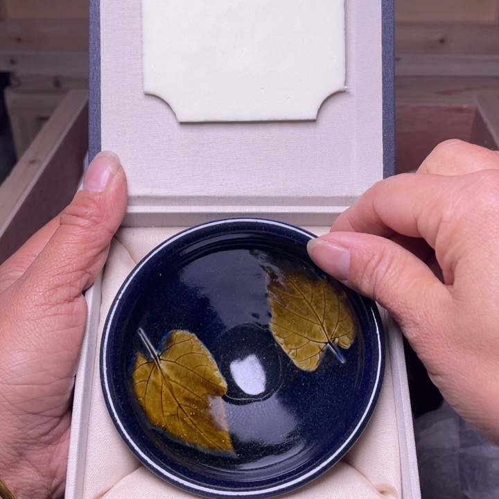 茶盏我也不想和她说话呀不