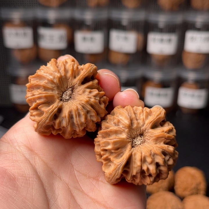 39龙门剑39龙门剑39龙门剑