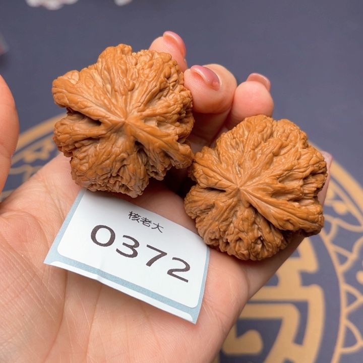 文玩核桃把件44大粗筋 0372