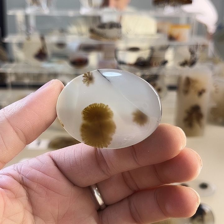 玛瑙/玉髓吊坠(不含链)未镶嵌