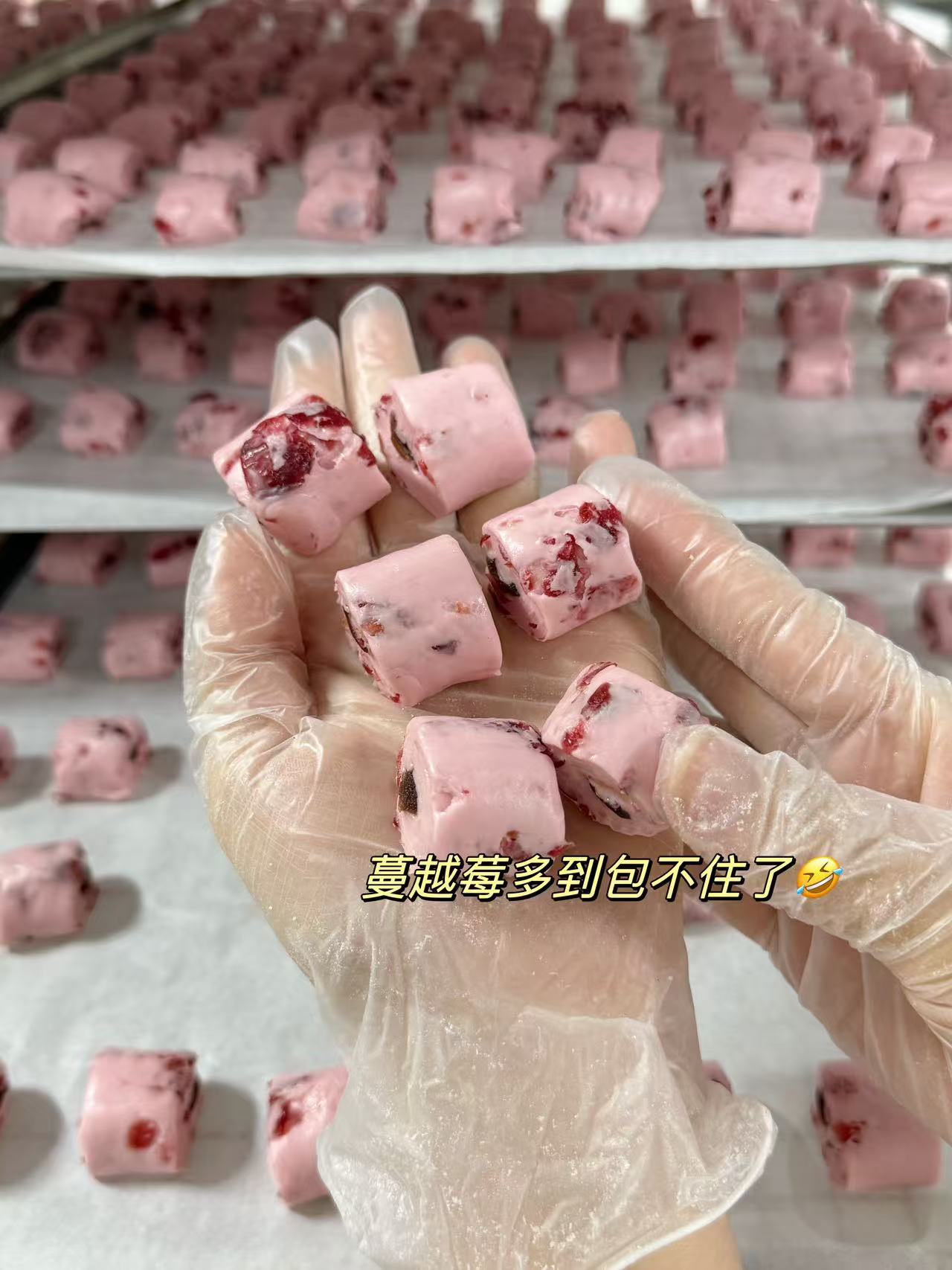 蔓越莓小馒头一包到手400g