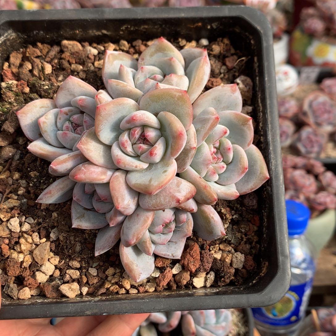 哈哈哈哈哈哈哈哈4