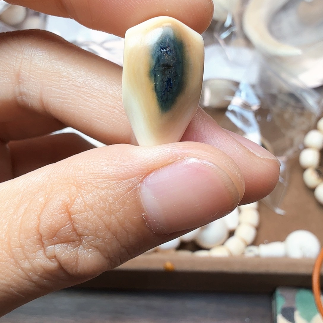 木11.8蓝皮鲨鱼背全品