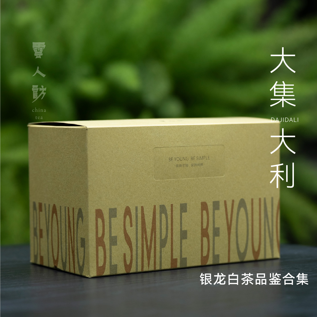 大集大利 银龙 福鼎白茶 高品全家福白茶合集  云人访