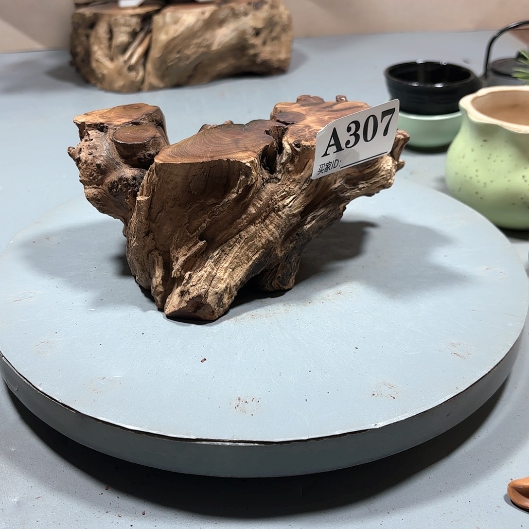 晴***大果紫檀（缅甸花梨）