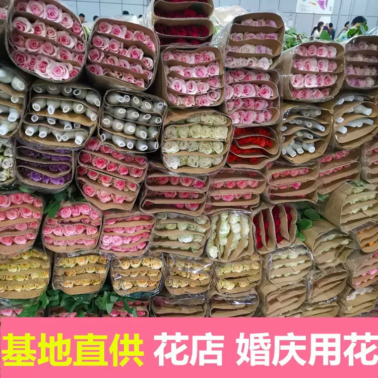 现摘现发顺丰冷链云南卡罗拉红玫瑰鲜花礼物适合多种节日场合布置