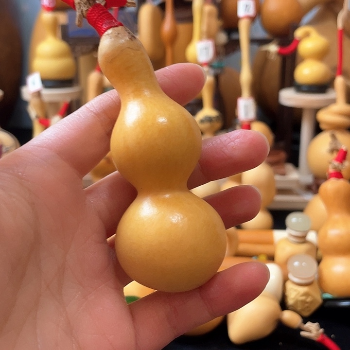 胖*猫葫芦岛连山湖公园里有你陪伴