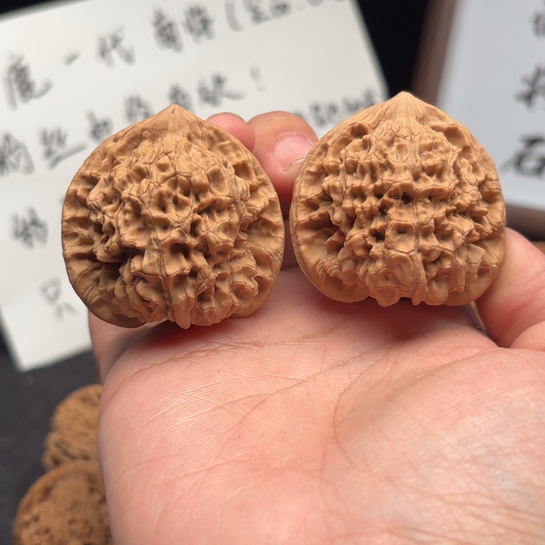 范***喵核桃官帽全品山地