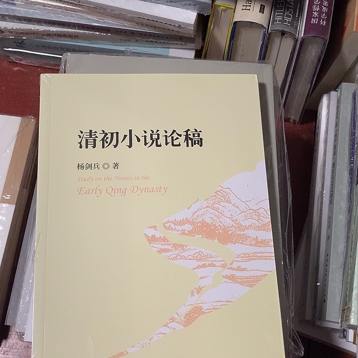 清初小说论稿瑕疵书