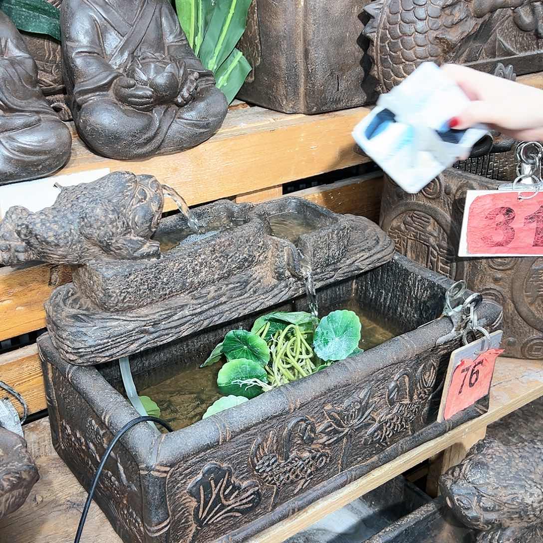 复合喜欢盆景1111