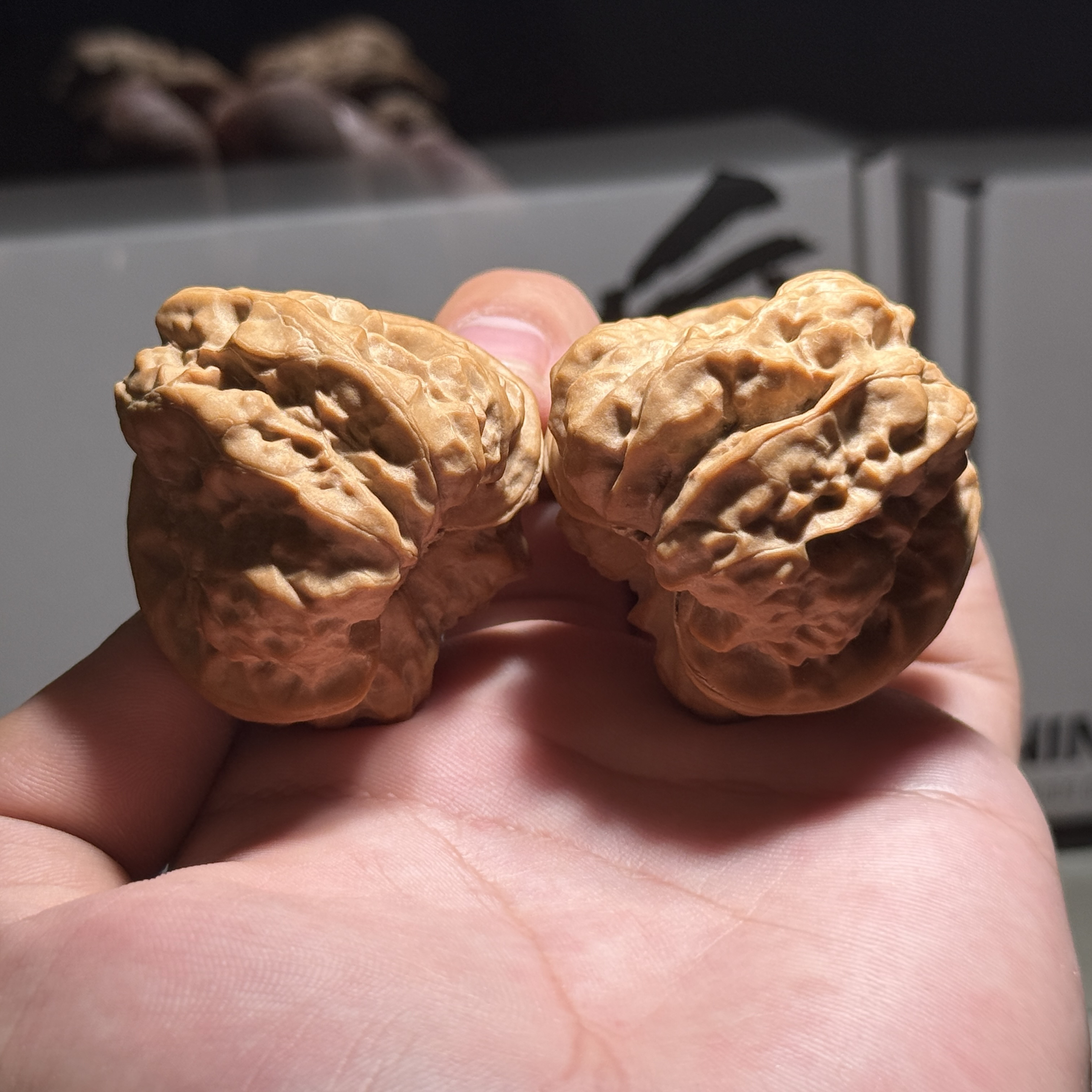 三角毒箭蛙42嘎嘎板正8腿开背开背