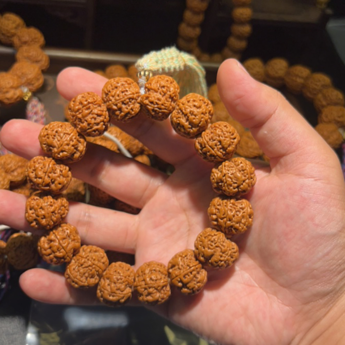 尼泊尔大金刚菩提六瓣