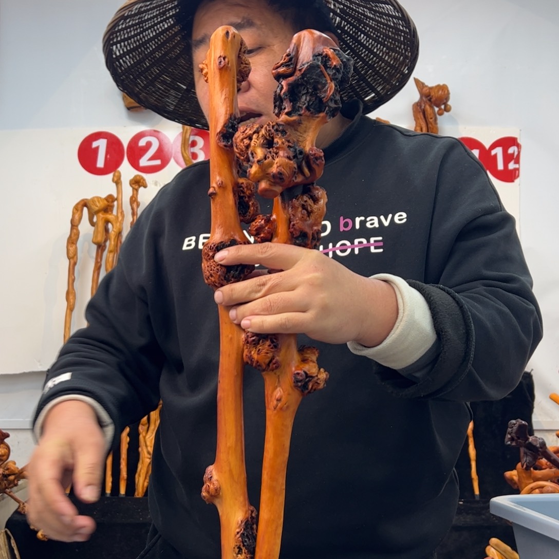 黑果木其他黑果木240