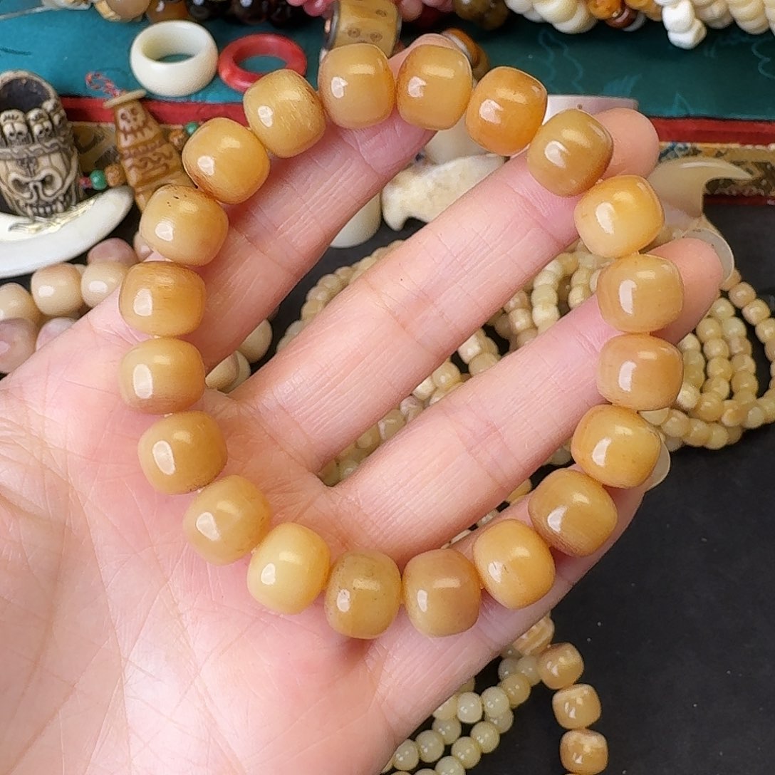 驼骨手串/手链马骨11*10老型单圈