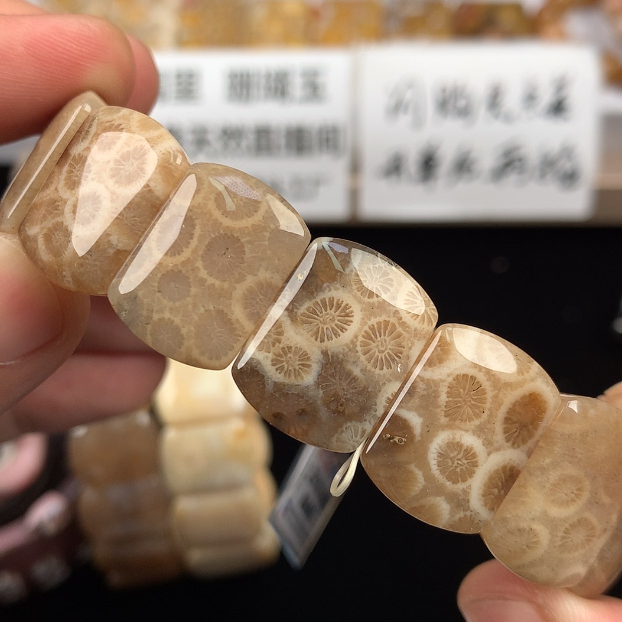 【闪购商品】硅化珊瑚（珊瑚玉）未镶嵌手镯
