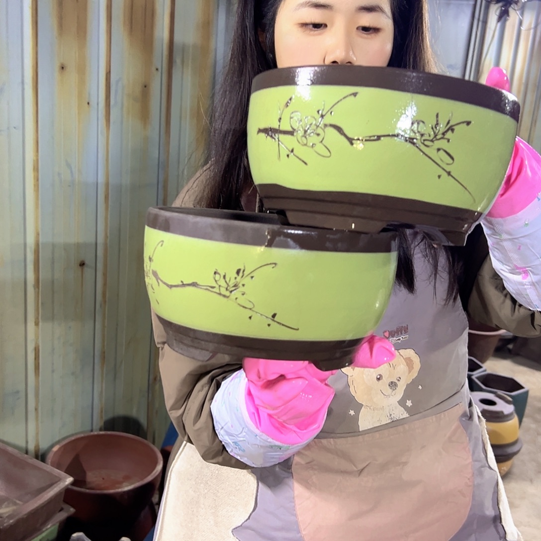 21+21苹果绿萝花盆花盆