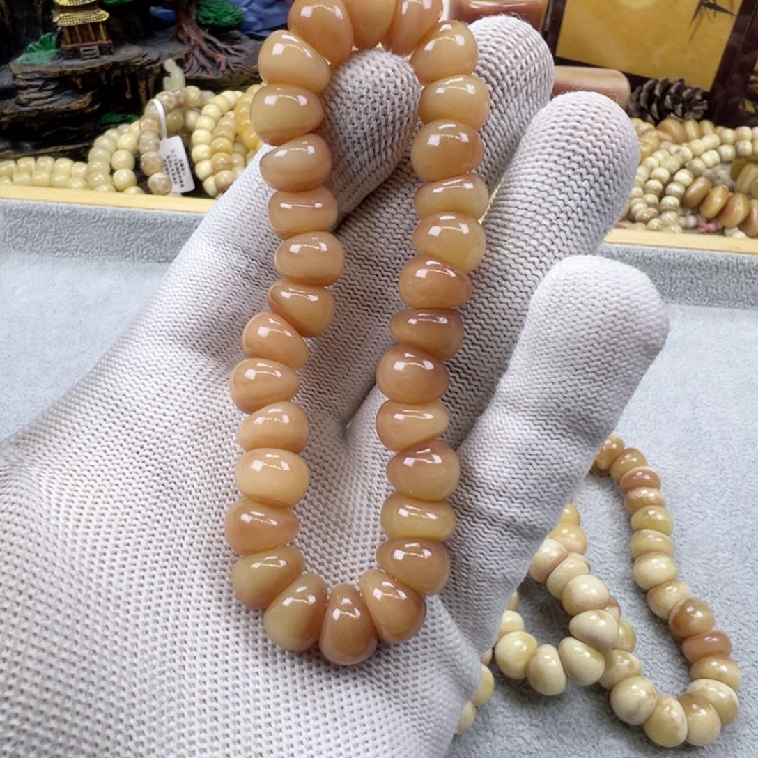 驼骨蒜瓣大肠卡11.5