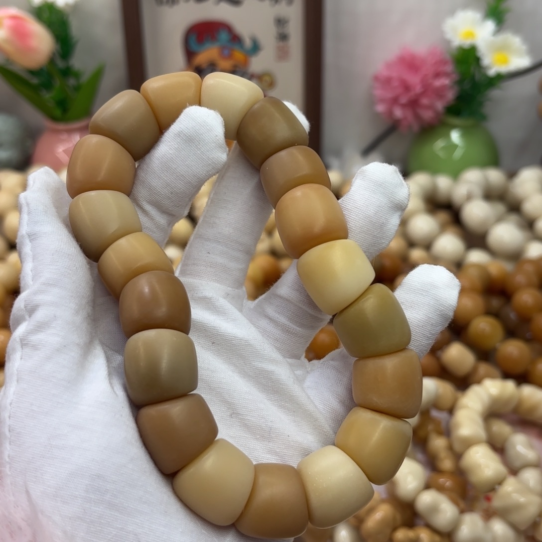 吊坠菩提根/象牙果18干磨瑕疵落地果肠887