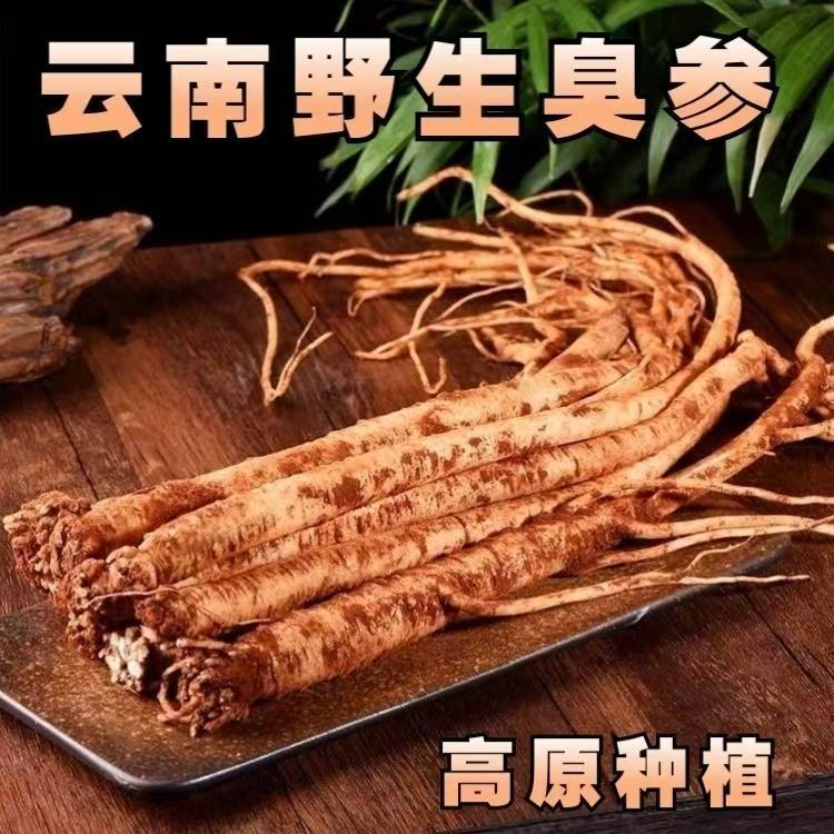 云南臭参高山新鲜参臭品种黄牙臭药野生臭药云参地特产人参蔬菜