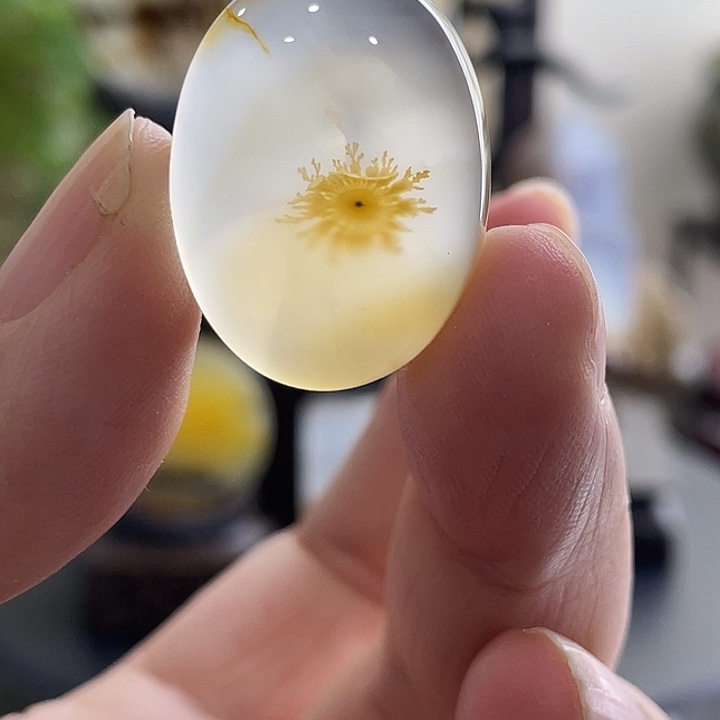 玛瑙/玉髓未镶嵌珠宝半成品