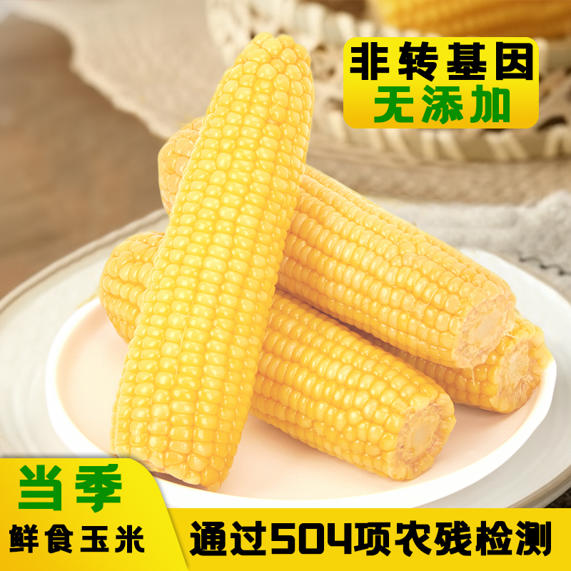 悦乡坊内蒙古2025香甜糯玉米真空包装非转基因8根/箱4.5斤起