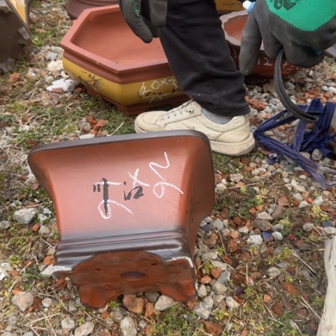 红陶紫砂花盆盆景盆栽