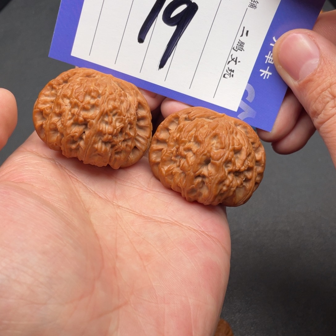 文玩核桃把件白狮子45