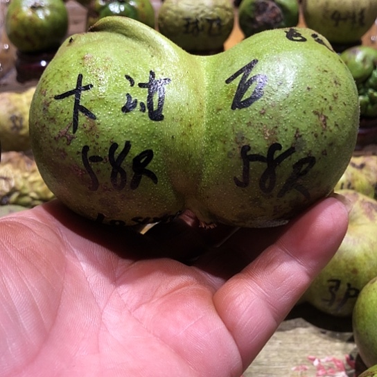 桃核吊坠核桃核桃
