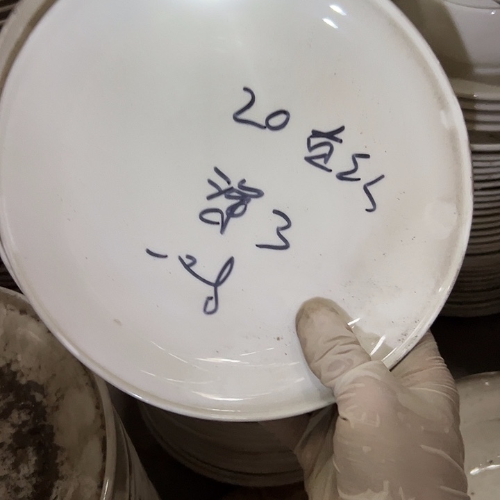 国营尾货骨瓷盘一对