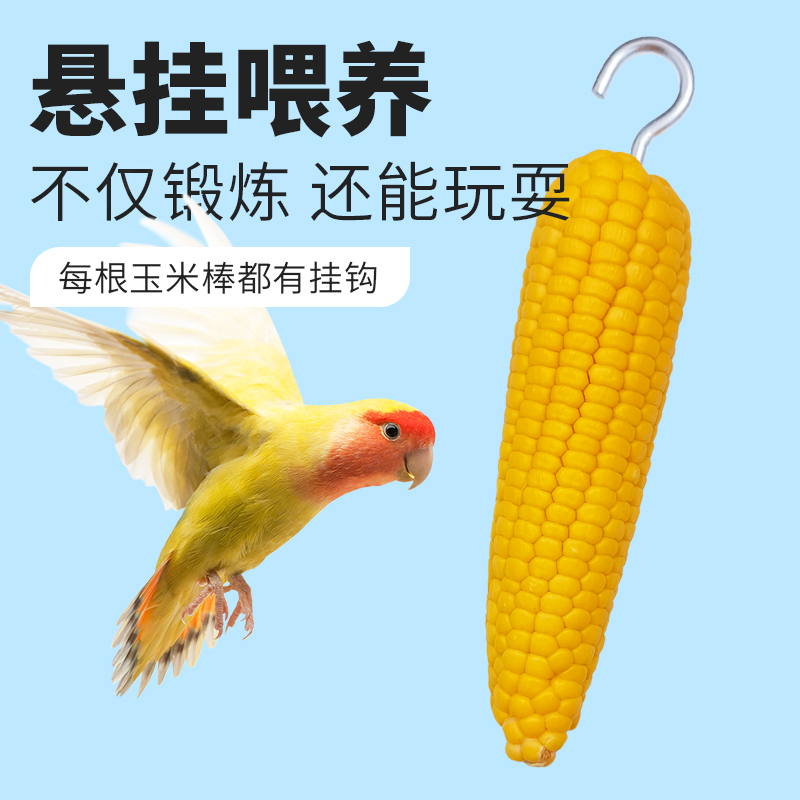 玄凤牡丹鹦鹉小零食玉米棒啃咬训练奖励磨牙棒玩具磨嘴磨喙鸟用品