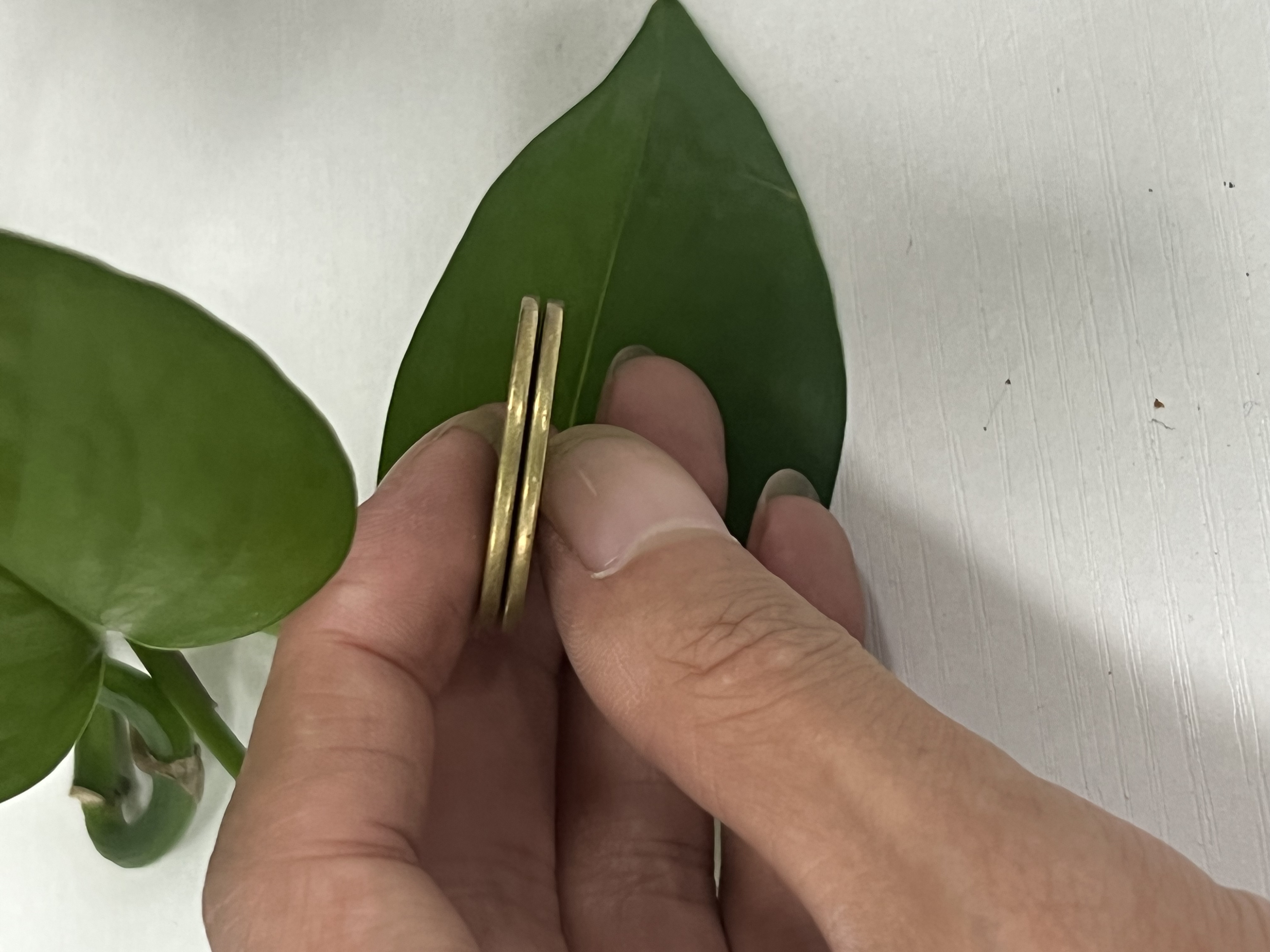 (a0001)家居摆件（拍一发一）