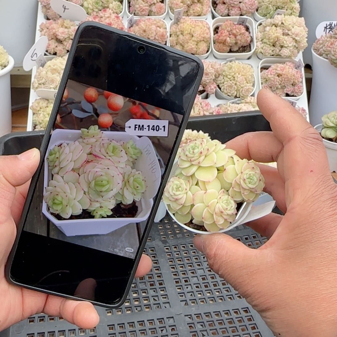 d****d【闪购商品】0204-119（m1-140-1）