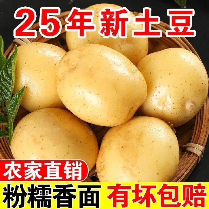 【新鲜黄皮土豆】2025年新土豆现采现发粉糯沙软黄心土豆