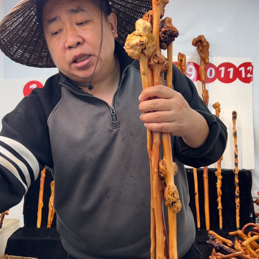 黑果木其他黑果木610