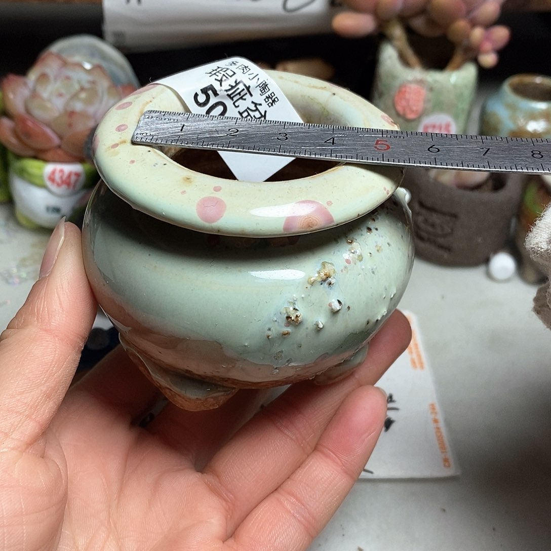 红陶处理的，处理