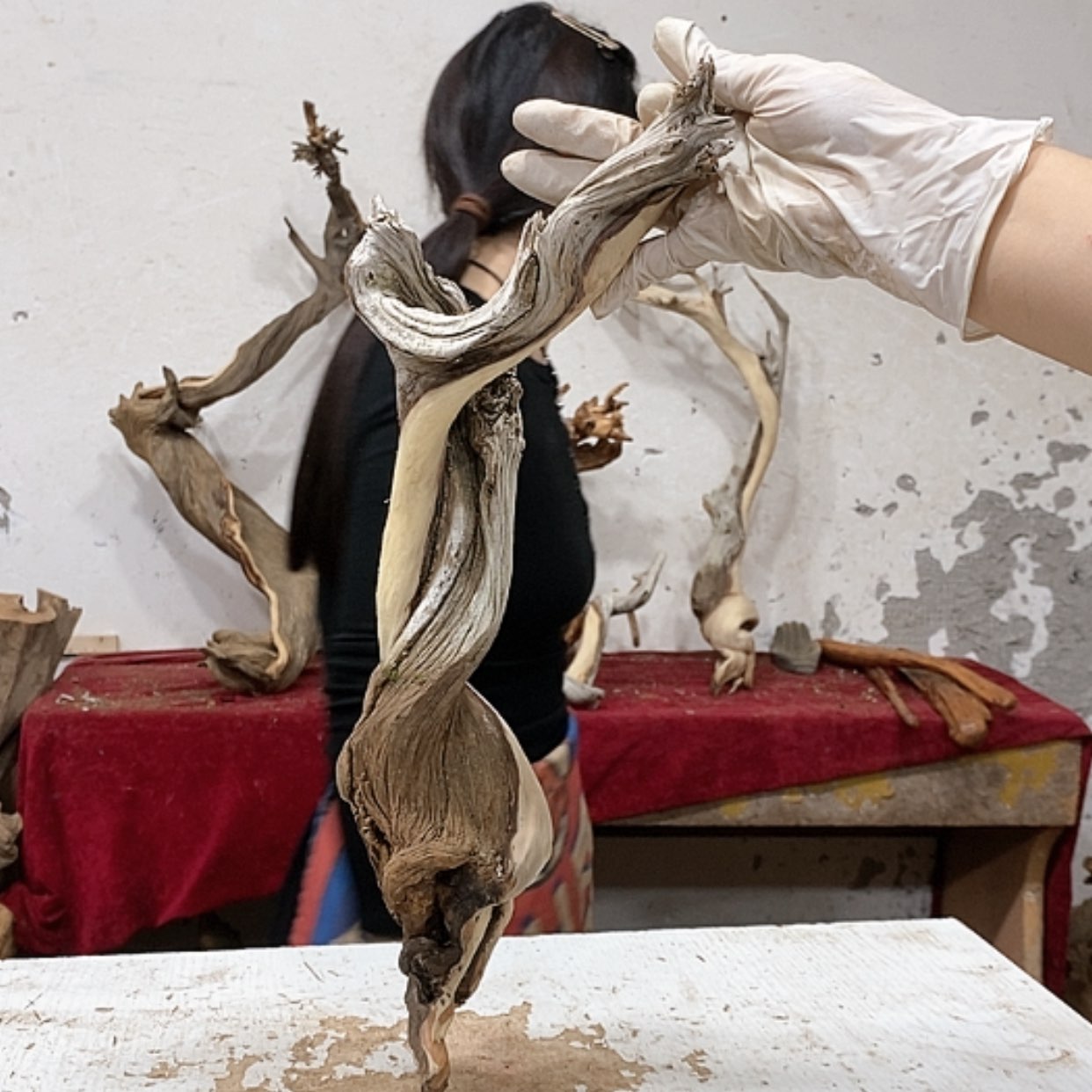 【闪购商品】柏木m****w我们都是好孩子