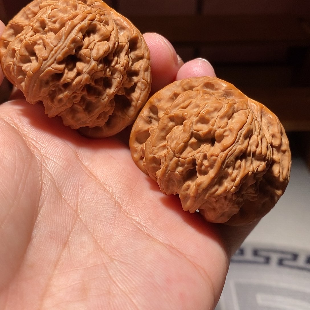 把件文玩核桃002白狮子49尺左右有修