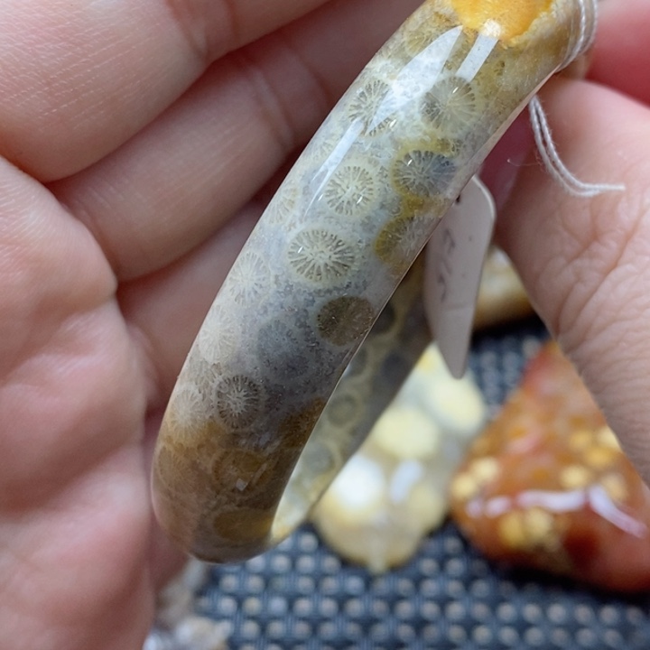 硅化珊瑚（珊瑚玉）颈饰未镶嵌51