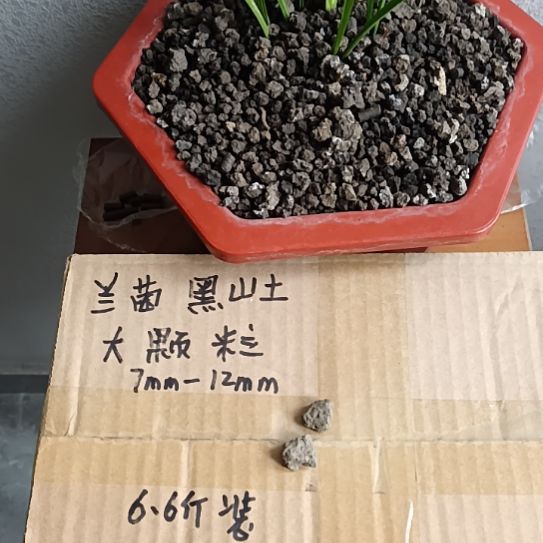 且***人兰菌黑山土大颗粒6.6斤